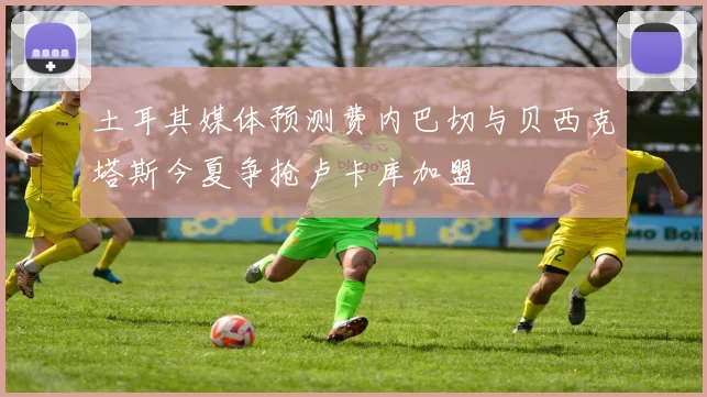 土耳其媒体预测费内巴切与贝西克塔斯今夏争抢卢卡库加盟